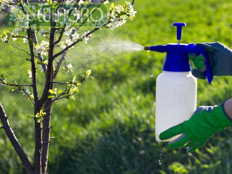 Действительно ли удобрения так хороши, как о них говорит реклама? - AGROzen