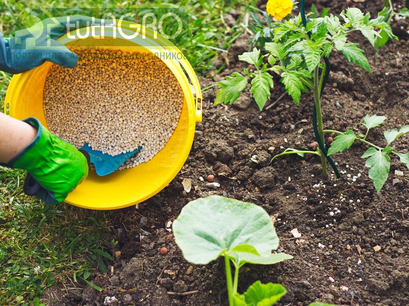 Использование «чистых» удобрений целесообразно лишь в некоторых случаях - AGROzen