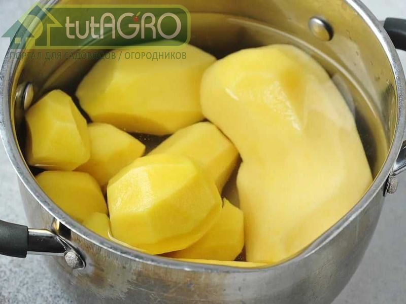 Уникальный продукт - картофельный отвар Уникальный продукт - картофельный отвар - AGROzen