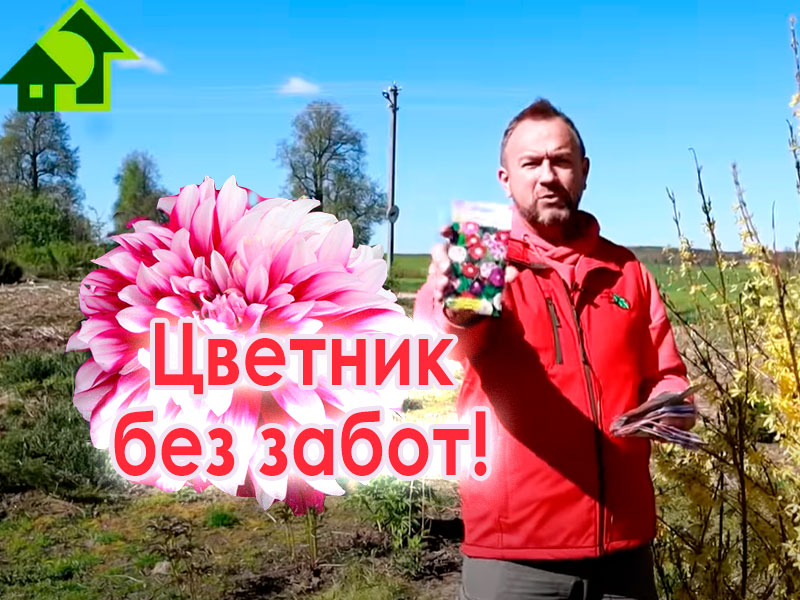 Цветы однолетники - настоящее море разнообразия фактур, сроков, окрасок, габитусов, ароматов и... красоты. Эти неприхотливые однолетники будут радовать всё лето!  Яркий цветник без особого труда и хлопот!