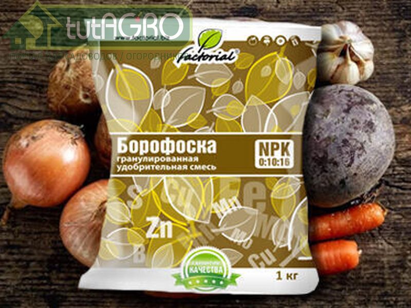 Что за удобрение - Борофоска? - AGROzen
