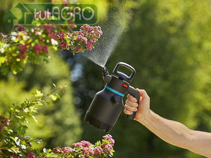 Сад проснулся, вредители тоже. Борьба с вредителями сада - AGROzen