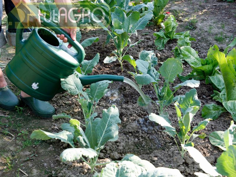 Экорецепты для огорода - AGROzen