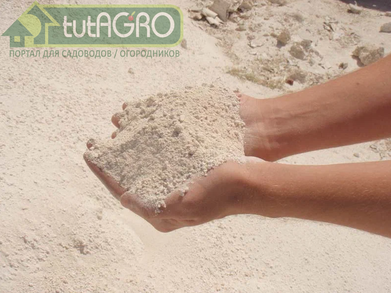 Используете удобрения? Не забудьте о гипсе! - AGROzen