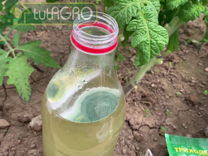 Растворы с Битоксибациллином и Лепидоцидом надо использовать как можно быстрее - AGROzen