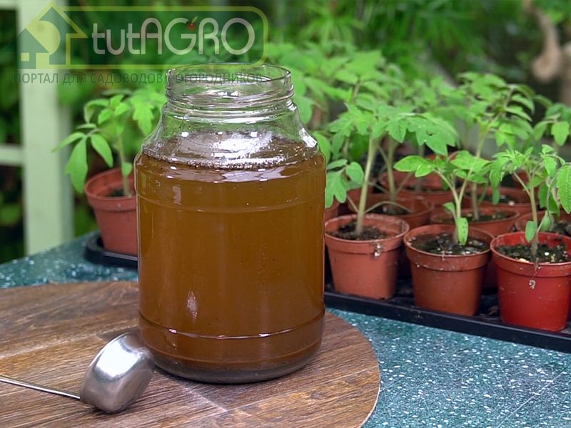 Растворы минеральных солей - AGROzen