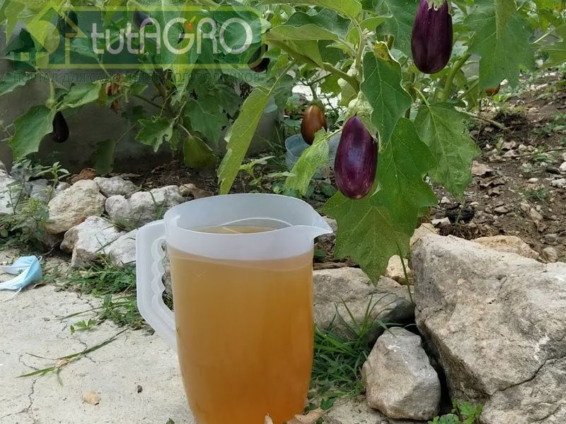 Растворы препаратов: тонкости хранения - AGROzen