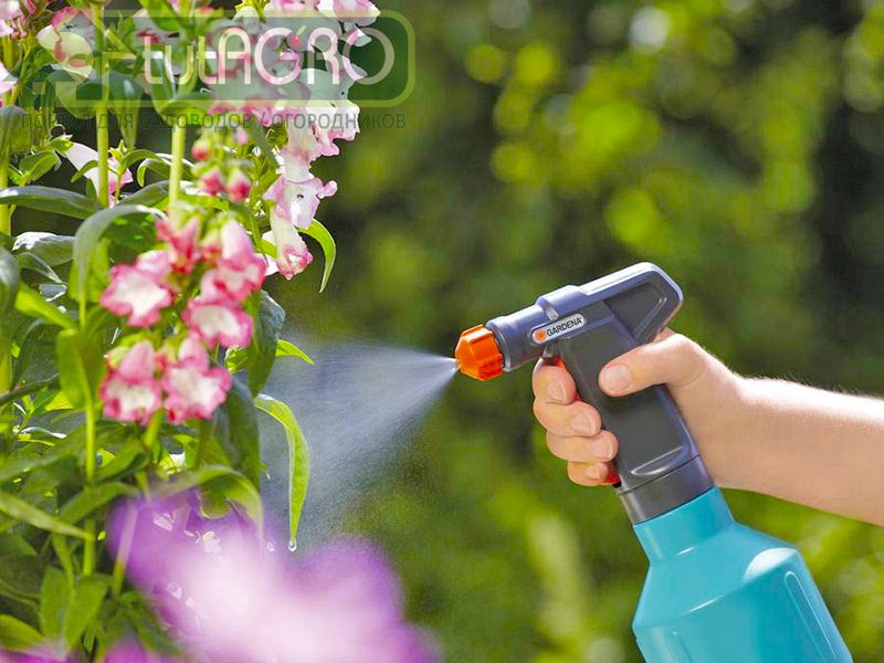 Активный раствор от Ивана Русских - AGROzen