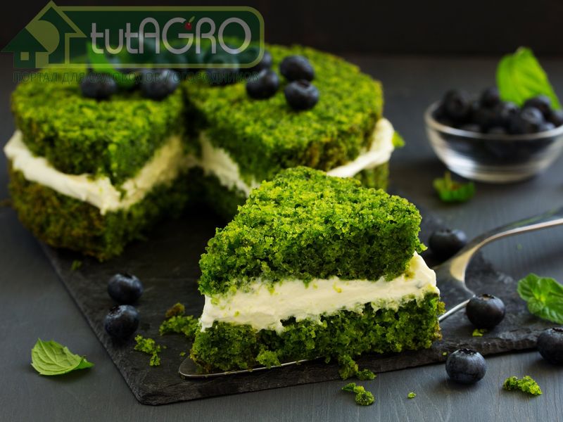 Торт «Лесной мох» - AGROzen