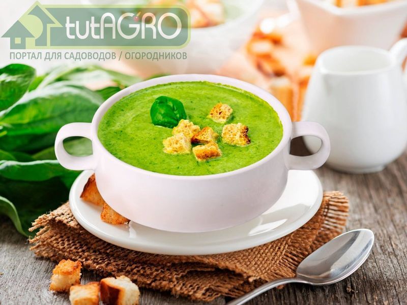 Крем суп на бульоне - AGROzen