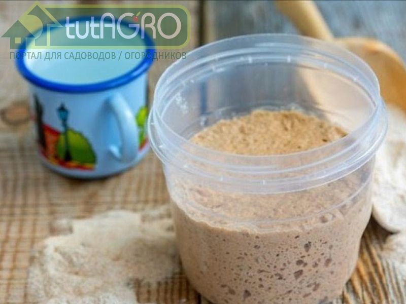 Дрожжевым раствором проведите обильную обработку растений по листу - AGROzen