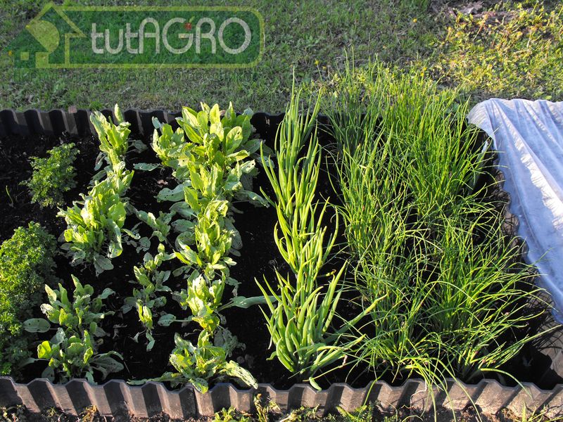 Боверия субстрата «Защитник сада и огорода Форте» - AGROzen