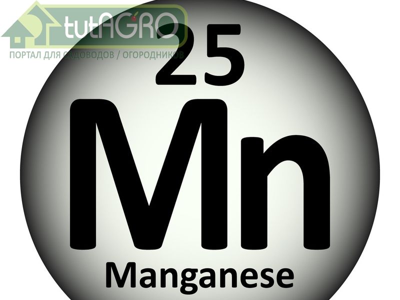 Марганец нужен всем  Марганец нужен всем - AGROzen