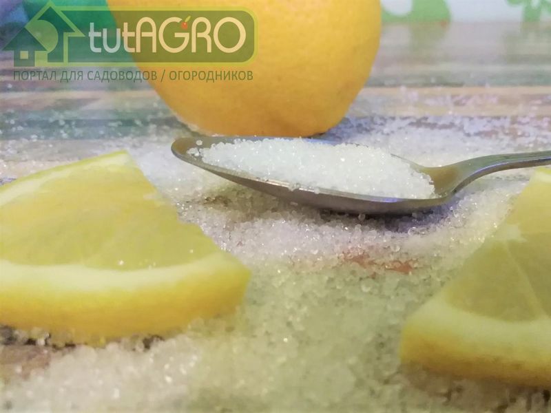 Лимонка творит чудеса - AGROzen