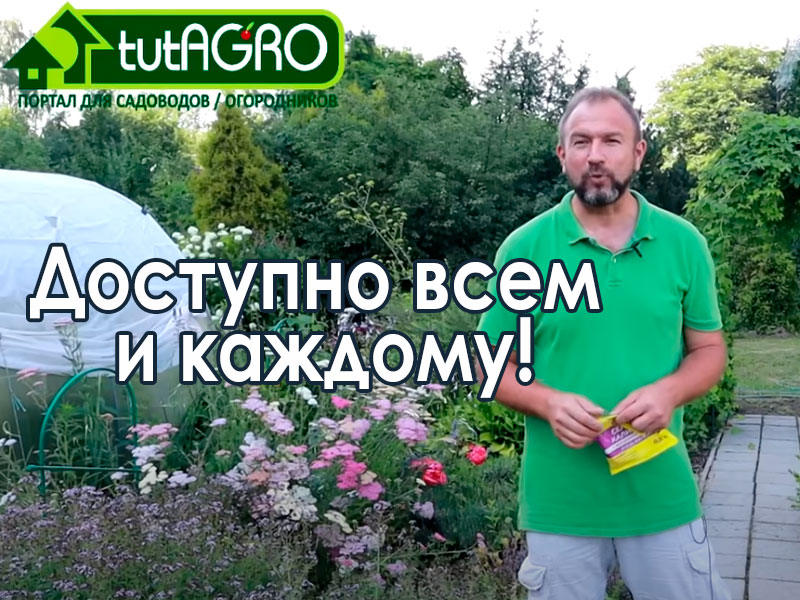 Хотим мы того или нет, но без подкормок то тем, то другим, большого урожая нам не добиться. И чтобы подкормки, особенно калием, были гораздо эффективнее, надо сделать очень простую вещь. Какую - смотрите в этом выпуске. Простой способ увеличить урожай томата и огурца!