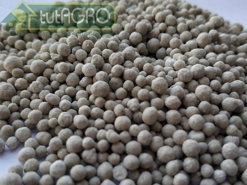 Рецепт подкормки сада от Ивана Русских - AGROzen