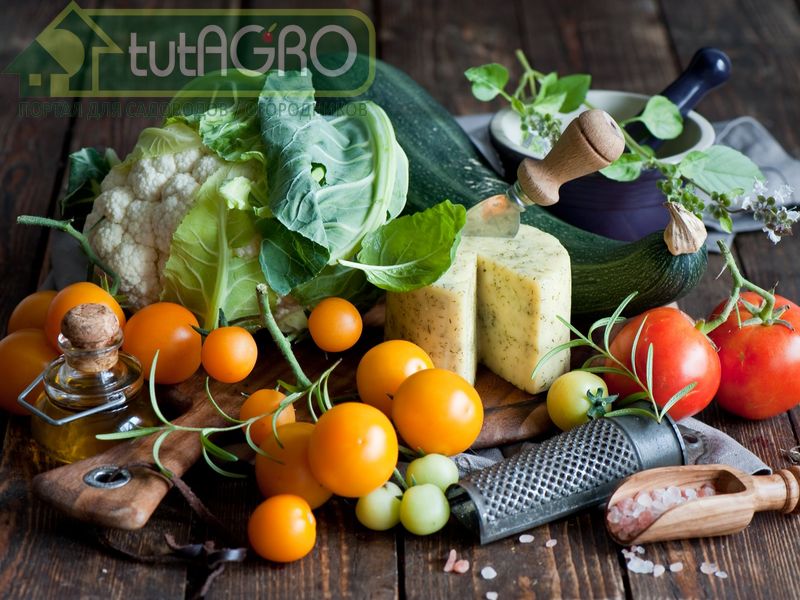 Вкусные блюда с овощами - AGROzen