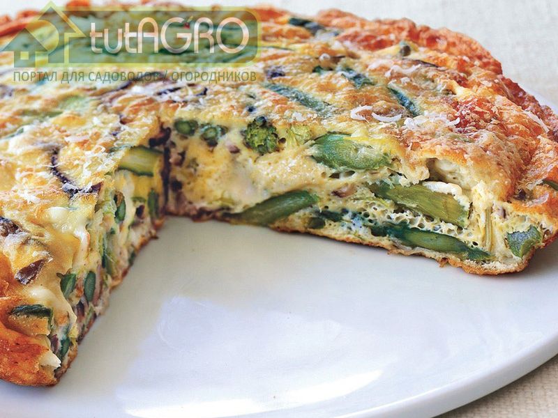 Овощная фриттата - AGROzen