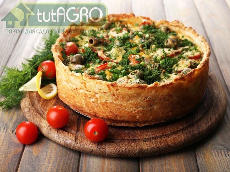 Пирог летний - AGROzen
