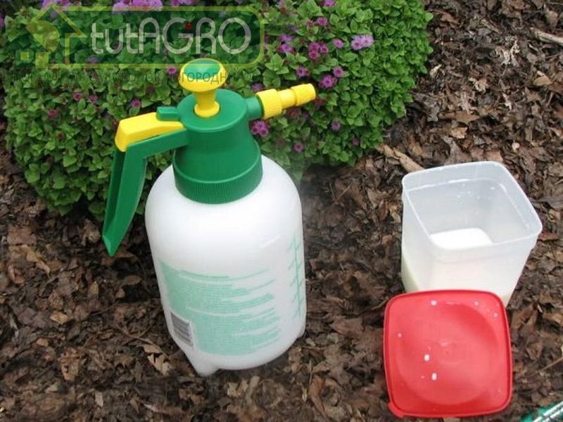 Используйте защитные силы природы Используйте защитные силы природы - AGROzen