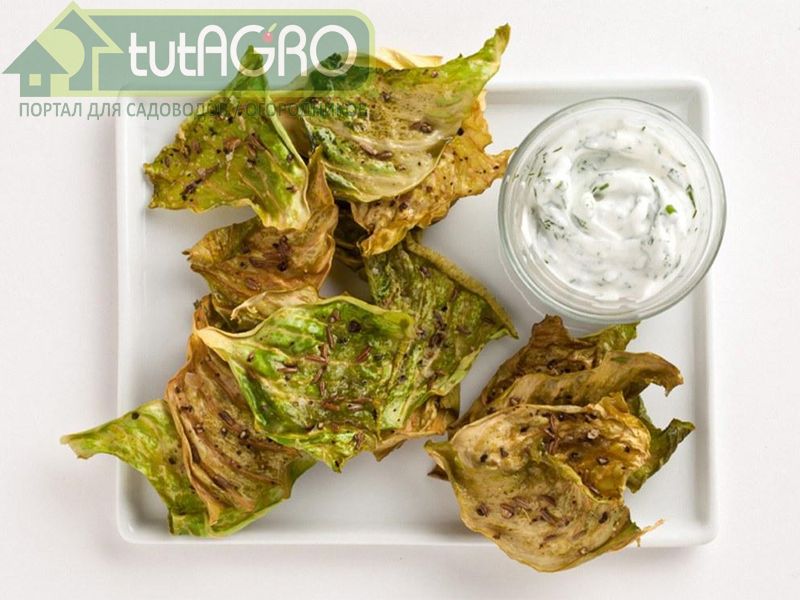 Капустные чипсы - AGROzen