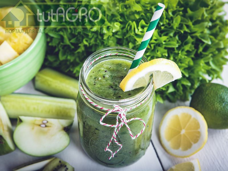 Коктейль Красивая фигура - AGROzen