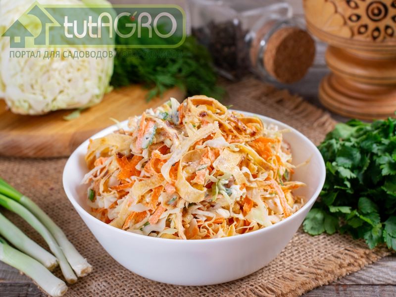 Капустные блюда - AGROzen