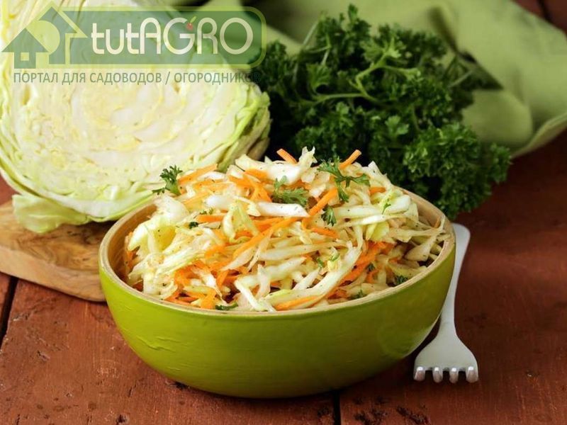 Салат Витаминный - AGROzen