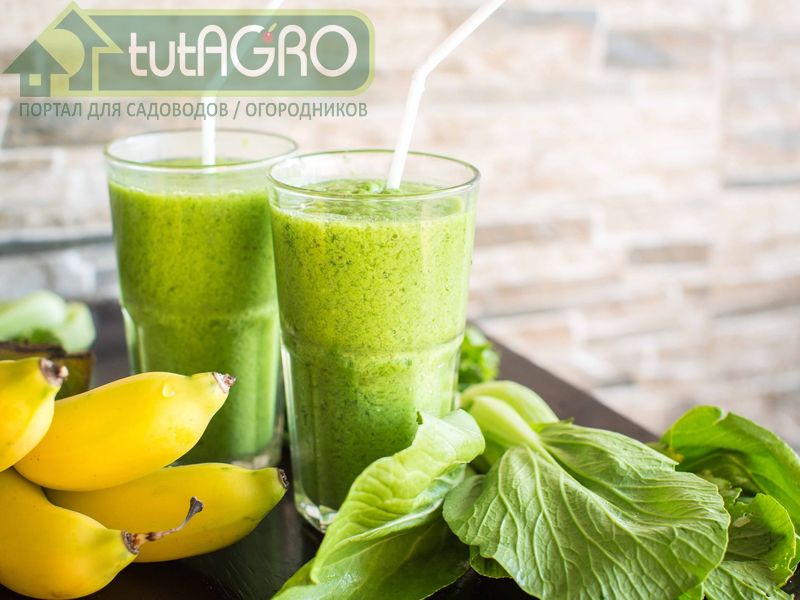 Коктейль Здоровье - AGROzen