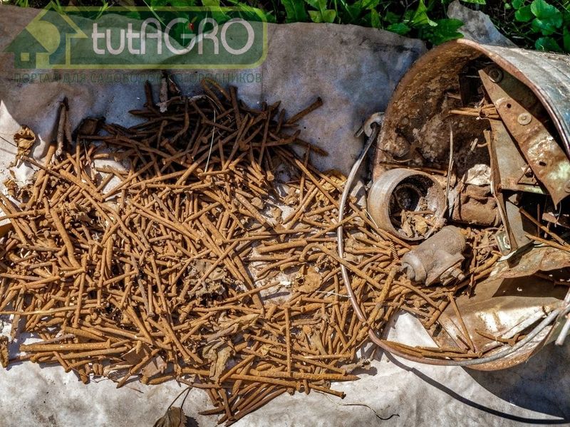 Удобрение из ржавчины - AGROzen