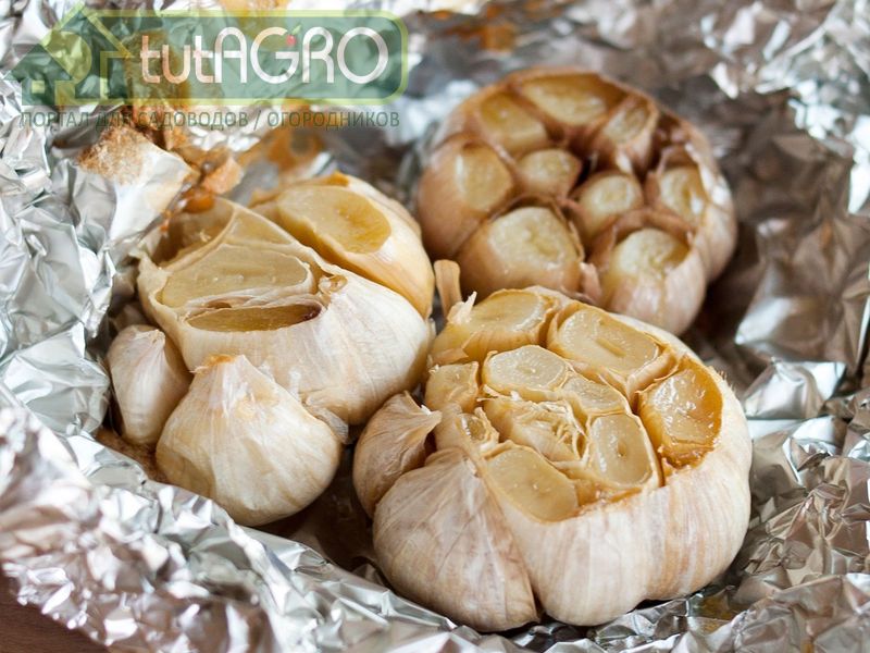 Чеснок в фольге - AGROzen