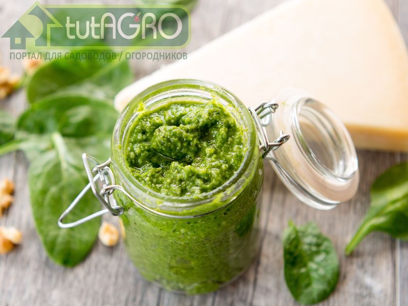 Чесночное песто - AGROzen