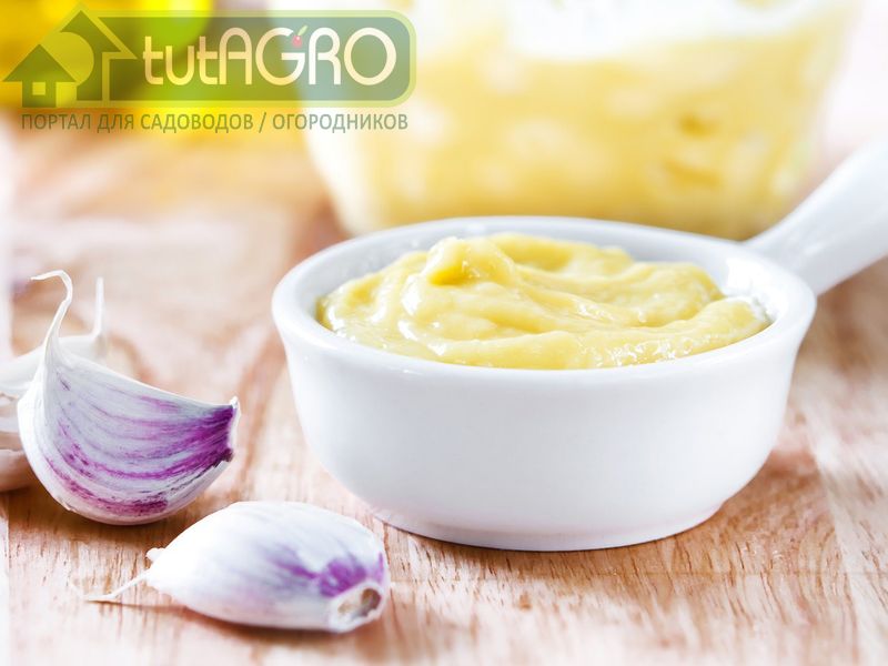 Чесночное пюре - AGROzen