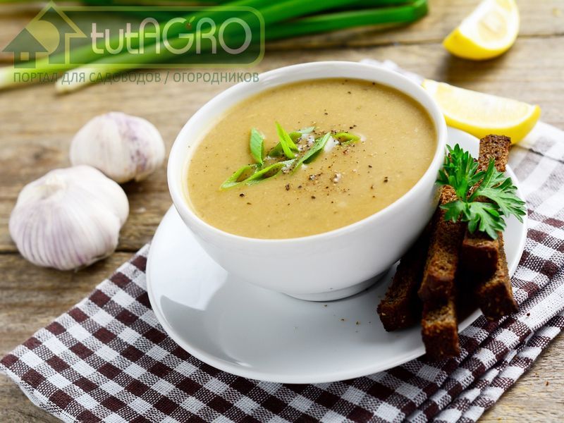 Чесночный суп - AGROzen