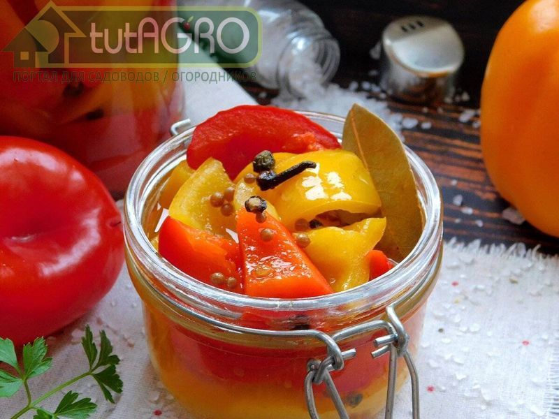 Винный перец - AGROzen