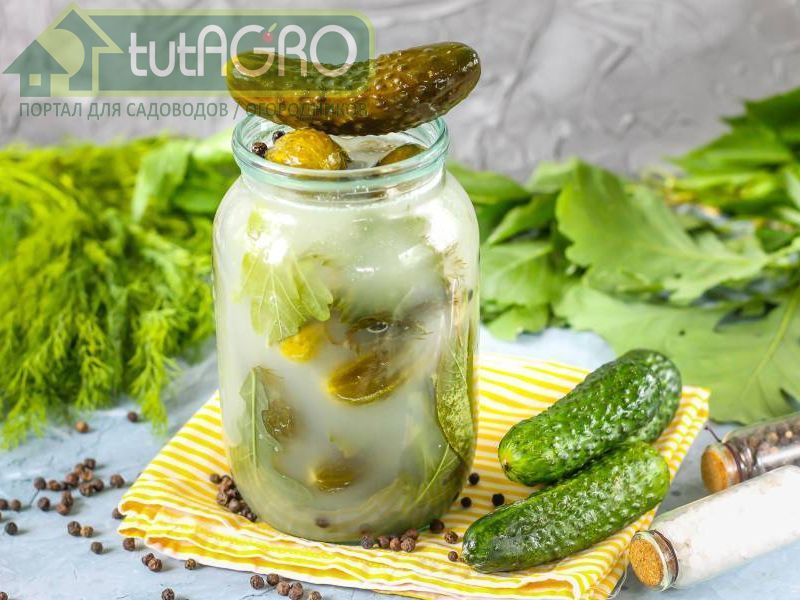 Всевозможные нестандартные огурцы удобно консервировать нарезанными - AGROzen