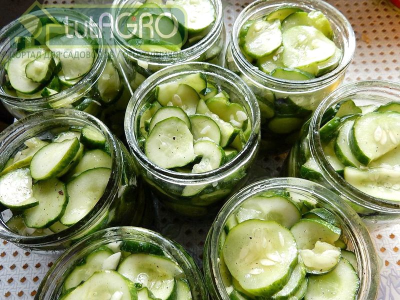 Огуречный сок содержит множество различных полезных микро и макроэлементов - AGROzen