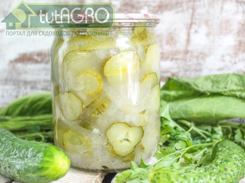 Огурец - один из немногих овощей, сохраняющий в полном объеме свои полезные свойства даже после тепловой обработки - AGROzen