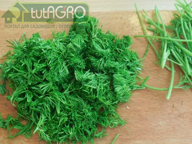 Ароматная зелень укропа улучшит вкус квашенной капусты не хуже семян! - AGROzen