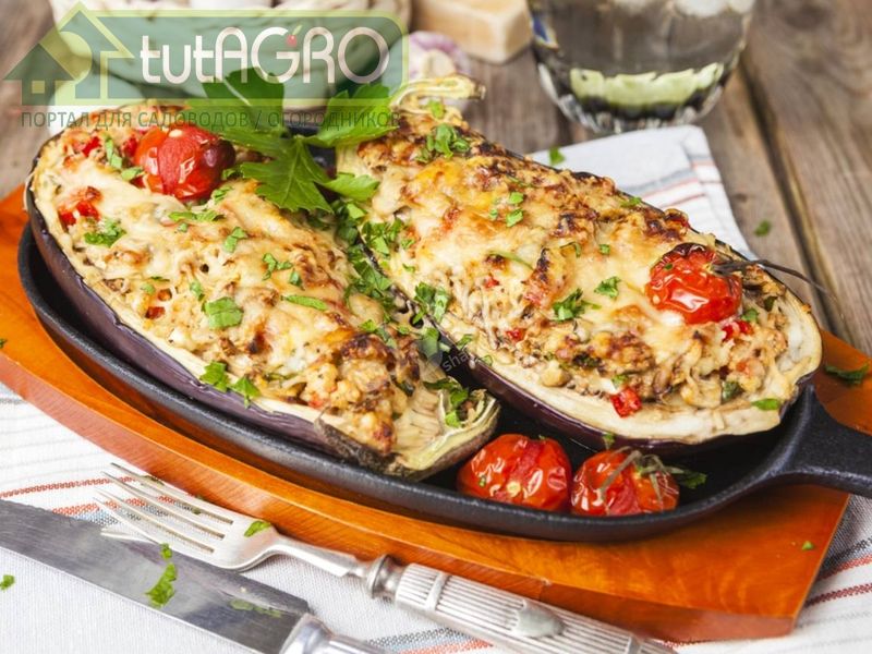 Фаршированные баклажаны - AGROzen