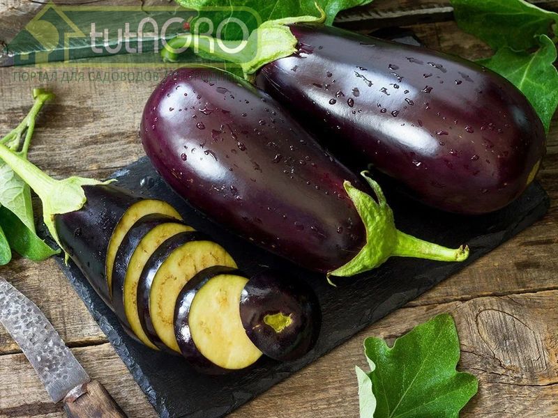 Вкусные баклажаны - AGROzen
