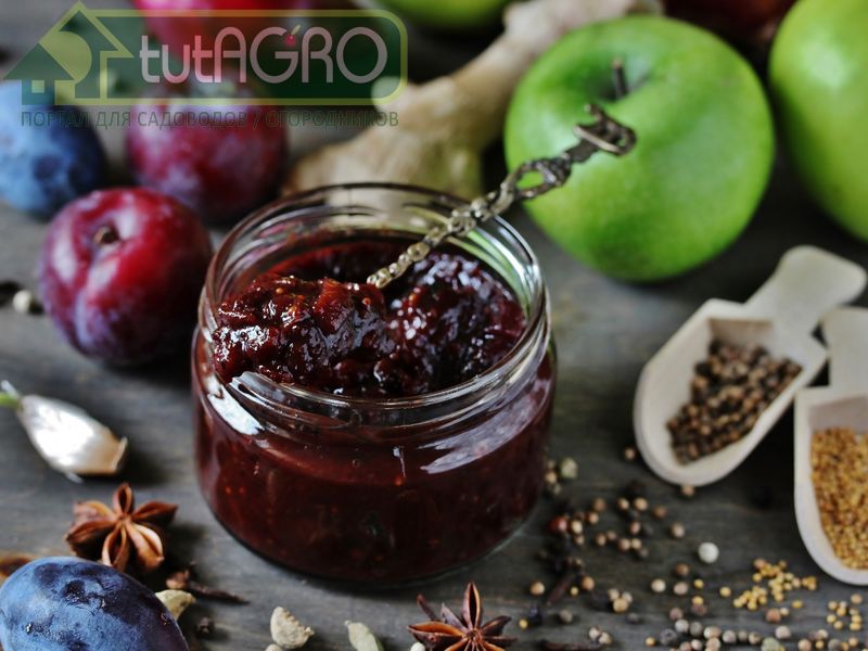 Чатни сливовые к мясу - AGROzen