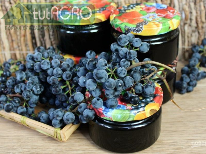 Виноградный Джем - AGROzen