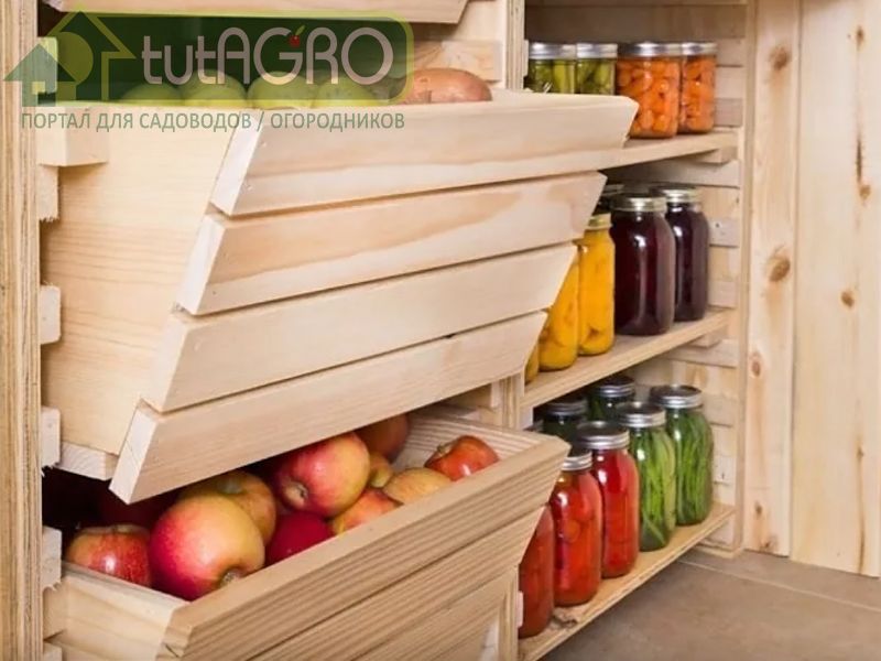 Оптимальные условия для хранения овощей - AGROzen