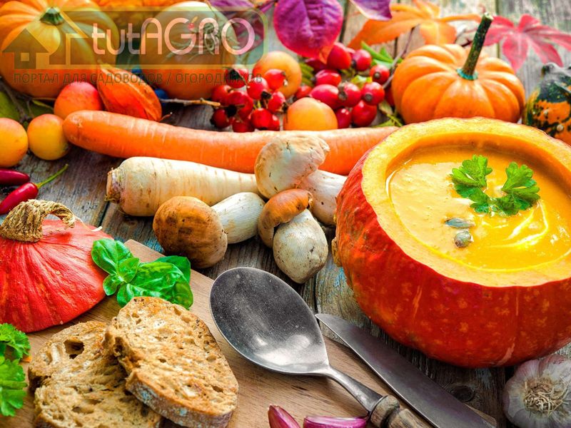 Рецепты теплой осени - AGROzen