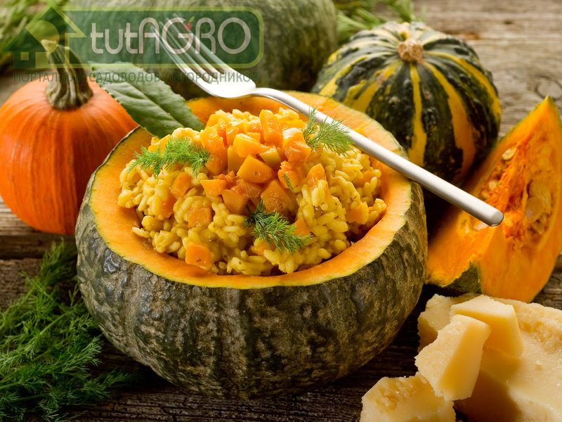 Ризотто с медовой тыквой - AGROzen