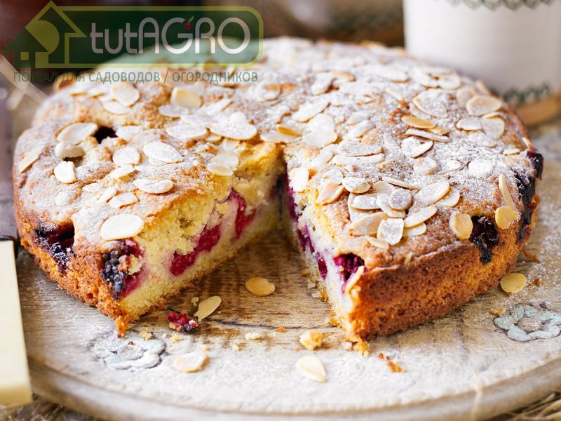 Сливовый пирог с миндалем - AGROzen