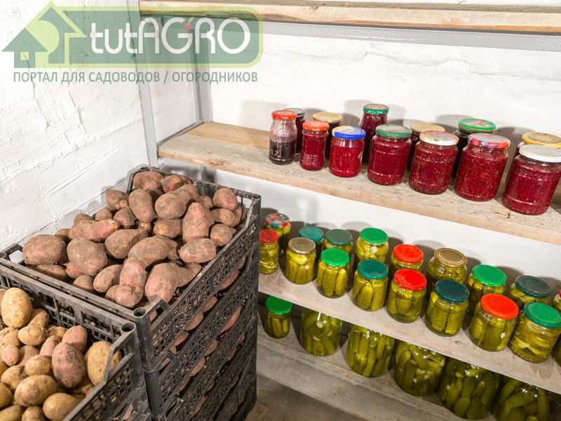Для длительного хранения очень важно правильно подобранное место - AGROzen