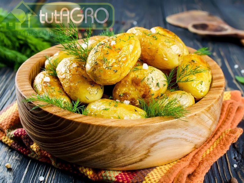 Вкусные блюда из картофеля - AGROzen