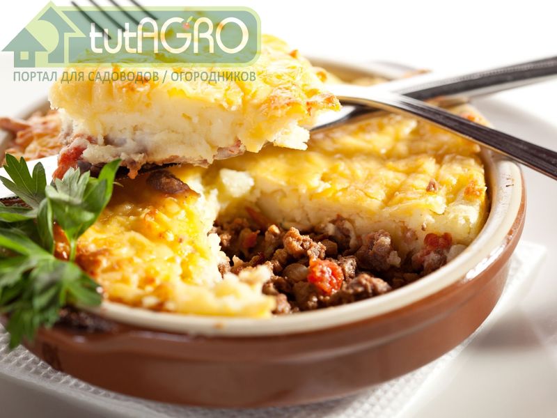 Пастуший пирог - AGROzen